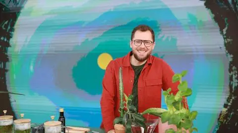 Domowa apteczka z parapetu. Które rośliny mają właściwości lecznice? 