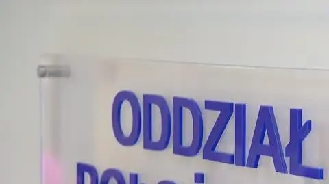 DD_20250110_Porod_rep_REP