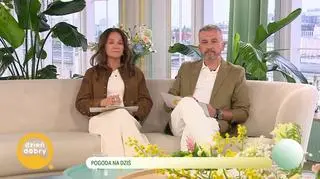 Skandaliczny trend na TikToku – psy oblewane lodowatą wodą