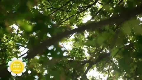 DD_20240818_Kucharski_rep_REP