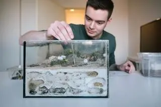 Formikarium