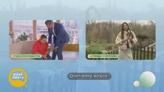 Rysio – najbardziej puszysty nauczyciel świata (napisy)