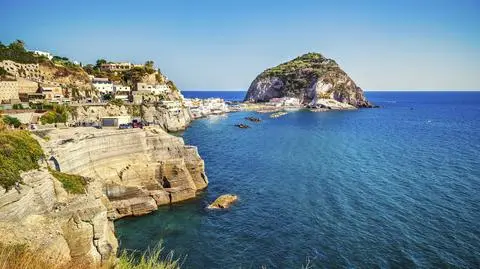 MSC Cruises