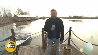 Pogoda na dziś