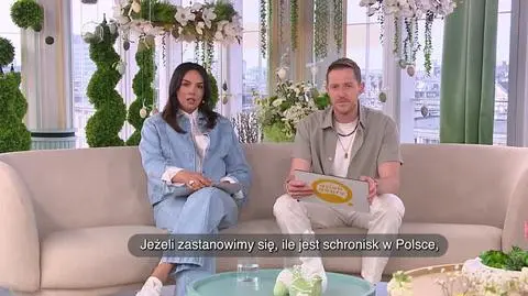 W obronie bezdomnych zwierząt
