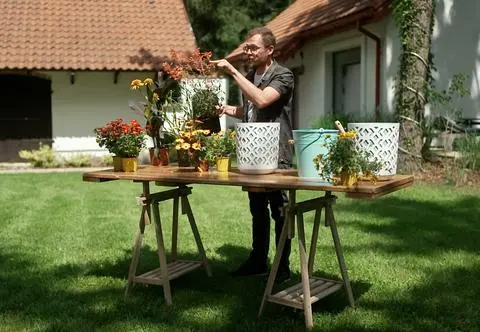 Letnie kwiaty na taras, balkon i do ogrodu. Jakie rośliny wybrać? "Jest odporna na nasłonecznienie" 
