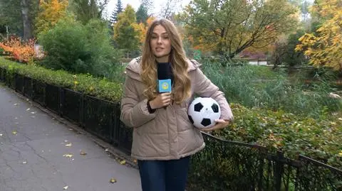 Pomóż dzikim kotom z Warszawskiego ZOO