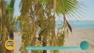 Marbella - hiszpański raj