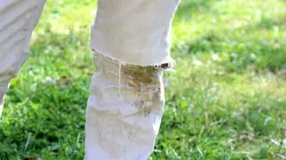 Plamy z trawy na białych spodniach