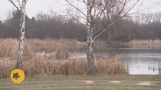 Czy dzisiejsza pogoda energii nam doda?