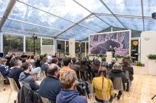 Rewitalizacja bagien w Kampinosie