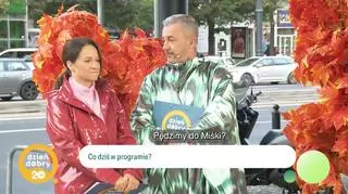 Stylowy sztorm - nadciąga modowa burza  (napisy)