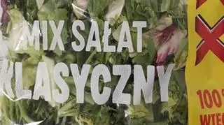Wycofana sałata 