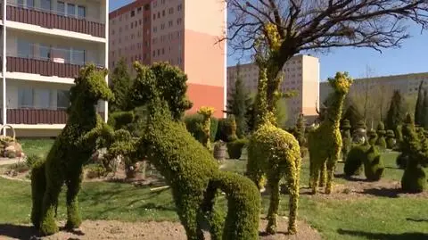 Topiary