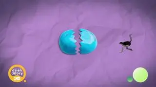 20 niezapomnianych: sport to zdrowie - napisy