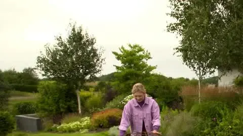 20250204_HGTV_NMWO_Dekoracje