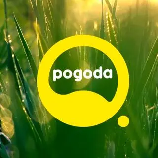 Pogoda