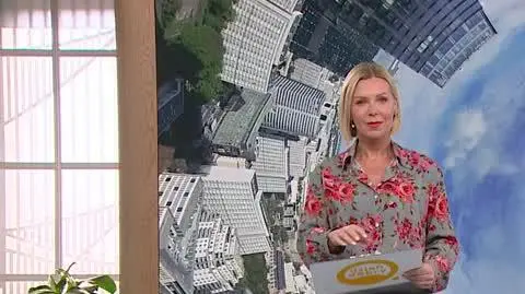 DD_20241020_Newsy_3_REP