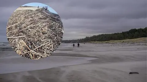 Niesamowite odkrycie na polskiej plaży. "Ile tu skarbów"
