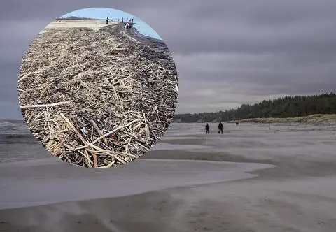 Niesamowite odkrycie na polskiej plaży. "Ile tu skarbów"