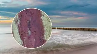 Nad Bałtykiem pojawił się fioletowy piasek. Co kryje się za tym niezwykłym zjawiskiem?
