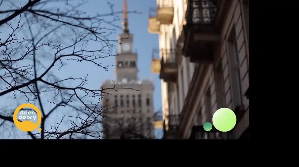 DD_20250211_Jungla_rep_REP_napisy