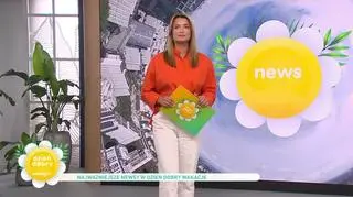 Najważniejsze newsy w Dzień Dobry Wakacje