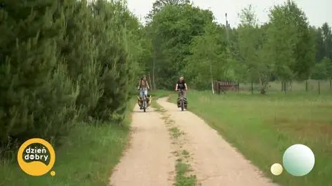 DD_20250612_Pies_rep_napisy