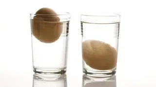 Jak sprawdzić, czy jajko jest świeże? Poznaj test szklanki