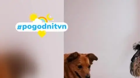 DD_20230307_Pogodni_REP