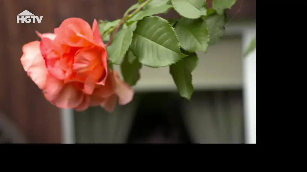 HGTV_NMWO_Roze