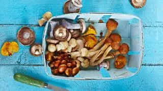 Grzyby na stole, w pojemniku