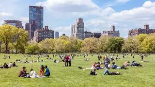 Central Park w Nowym Jorku – jakie są największe atrakcje?