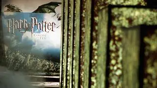 Jak dzisiaj wygląda i co robi aktor grający Wiktora Kruma z Harry'ego Pottera? "Czym byłoby życie bez przygody"