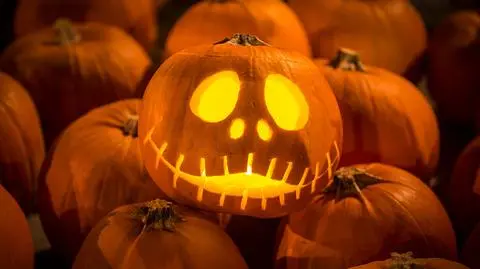 Co zrobić z dyniami po Halloween?