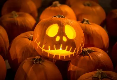 Co zrobić z dyniami po Halloween? Dawanie ich zwierzętom to nienajlepszy pomysł 