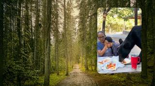 Rodzinny piknik w górach zakończył się spotkaniem z niedźwiedziem. Internauci: "Ja bym chyba zawału dostała"