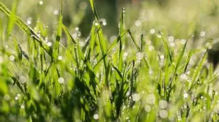 Prognoza pogody na 11 kwietnia 2024