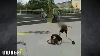 "Syna bili aż zemdlał". Znęcający się nad dziećmi brutalny gang nastolatków pozostaje bezkarny
