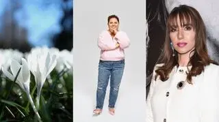 Dorota Wellman, Marianna Schreiber