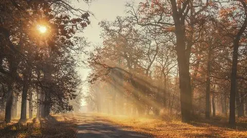 Pogoda na poniedziałek 31.10 - prognoza