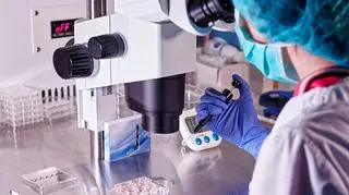 Czy kobiety po in vitro mogą zajść w ciążę bez zabiegu? Zaskakujące wyniki badań