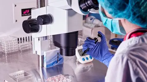 Jak In Vitro wpływa na naturalne poczęcie? Badania