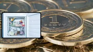 Przed wyjazdem z domu umieść monetę w zamrażarce
