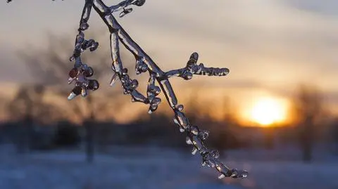 Pogoda na piątek 3 lutego. Gdzieniegdzie temperatura może spaść poniżej 0