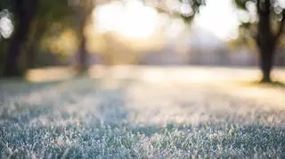 Pogoda na środę 3 maja. Temperatura znów nieco spadnie
