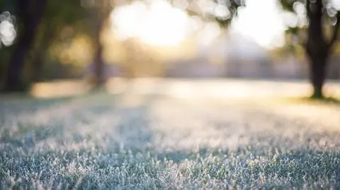 Pogoda na środę 3 maja. Temperatura znów nieco spadnie. Możliwe przymrozki i ulewne deszcze