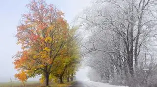 Przedzimie będzie w tym roku krótsze niż zwykle. Kiedy spadnie śnieg?