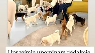 InstaStory Macieja Dowbora