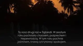 InstaStory Ani Karwan